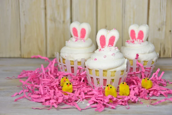 Easter bunny ears on cupcakes — Stock Photo, Image