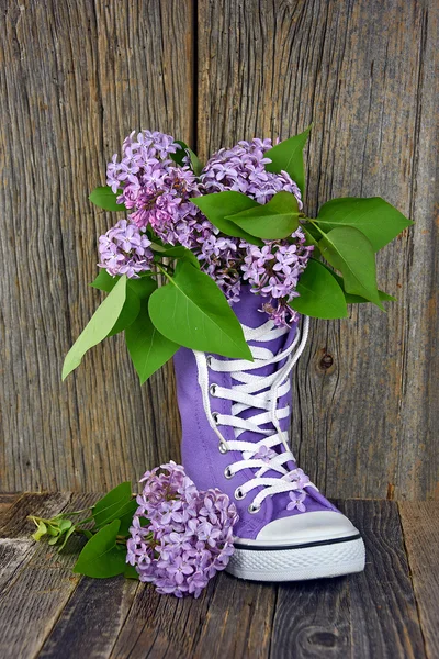 Lila boeket in hoge top sneaker — Stockfoto