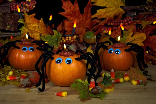 Arañas de calabaza de Halloween — Foto de Stock