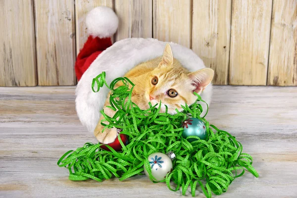 Tabby kitten in Christmas hat with ribbons — Stock Photo, Image