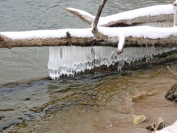 Unique Icicle Formation Hanging Snow Covered Tree Log Water — Stock Photo, Image