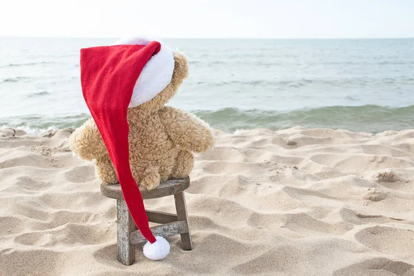 Back View Brown Teddy Bear Red Christmas Stocking Cap Beach — Stock Photo, Image