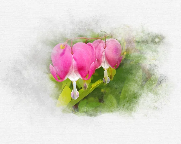 Close Rosa Sangrando Flores Coração Quadro Abstrato Macio — Fotografia de Stock