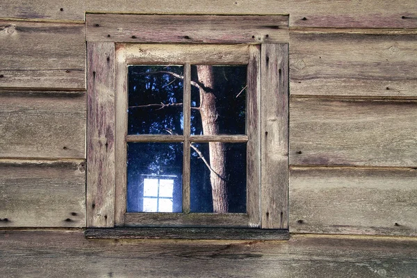 Baumreflexion Fenster Einer Alten Holzhütte — Stockfoto