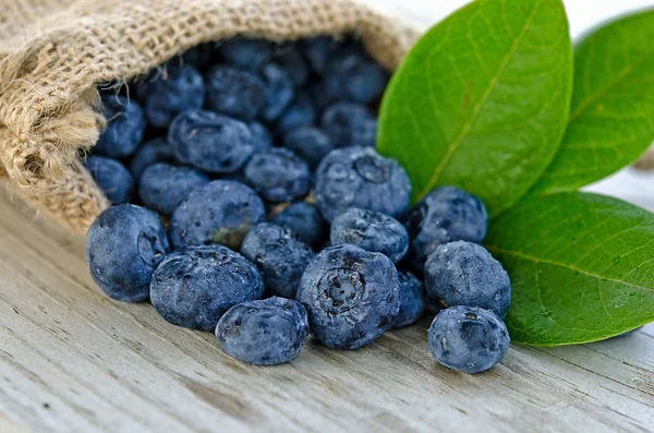 Blueberries in sack — Stock Photo, Image