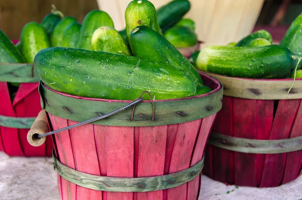 Cumbers červené koše — Stock fotografie