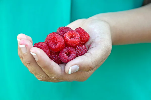 Frambozen in meisje de hand — Stockfoto