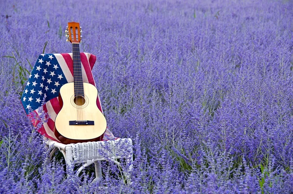 Flag and guitar in Russian sage — Stock Photo, Image