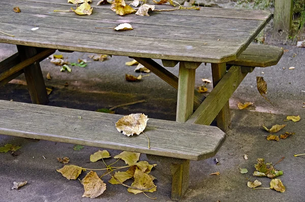 Осенние листья на столе для пикника — стоковое фото