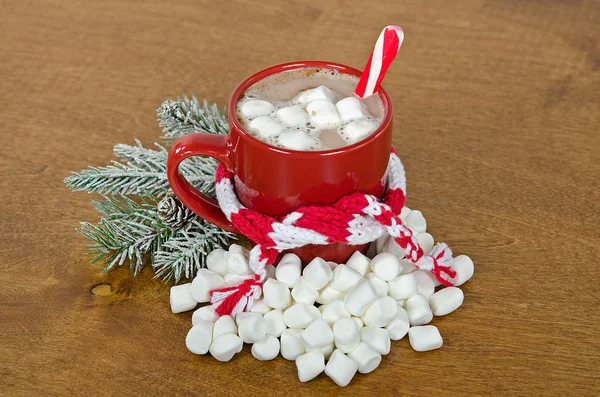 圣诞热巧克力 — 图库照片
