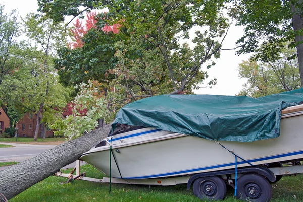 Bateau à moteur de concassage d'arbres — Photo