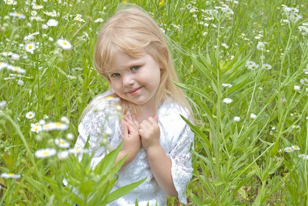Blonďatá holčička v divoké sedmikrásky — Stock fotografie