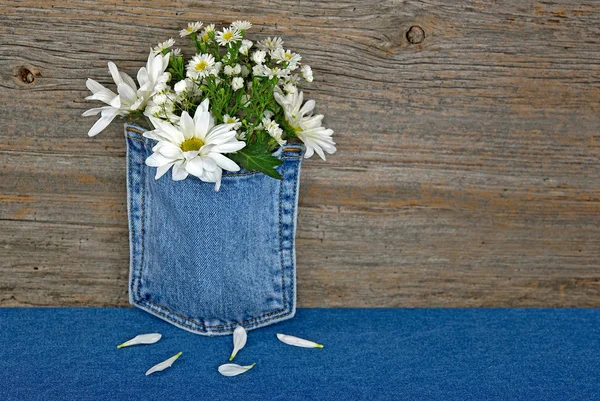 Gänseblümchen-Strauß in der Tasche — Stockfoto