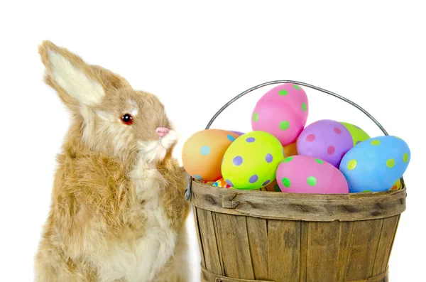 Uova di Pasqua con coniglio — Foto Stock