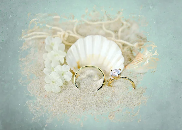 Anillos de boda y conchas marinas en el marco —  Fotos de Stock