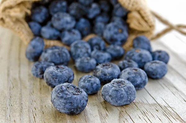 Blaubeeren im Klettenbeutel — Stockfoto