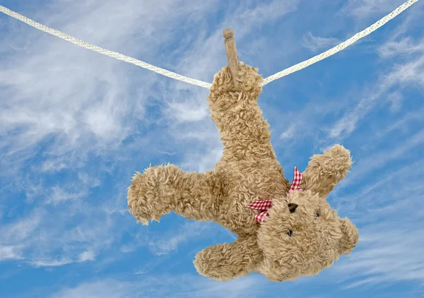 Brown teddy bear on a clothesline — Stock Photo, Image