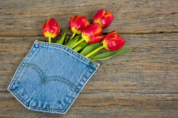 Tulipanes rojos en bolsillo azul jean — Foto de Stock