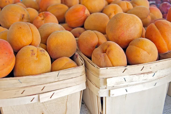 Ripe apricots in produce boxes — Stock Photo, Image