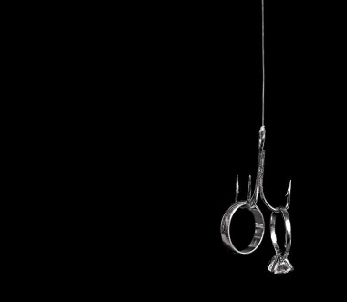 Balık oltaya alyans