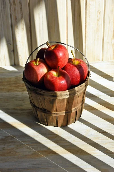 苹果在篮子里带有条纹的阴影 — 图库照片