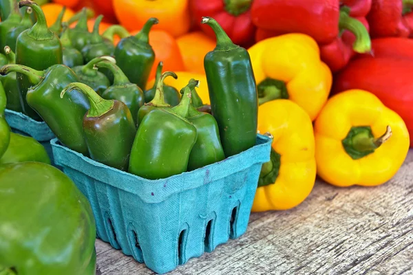 Variety of peppers at the market — Stock Photo, Image