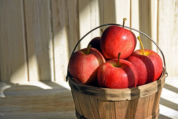 Rote Äpfel im gestreiften Sonnenlicht — Stockfoto