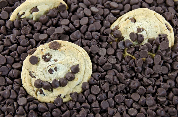 Chocolate Chip Cookie mit einem Lächeln — Stockfoto