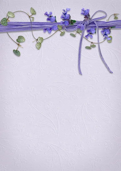 Квітка лаванди і плющ на фіолетовому атласному кордоні — стокове фото