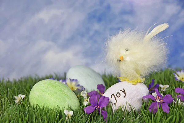 Chick op Easter egg — Stockfoto