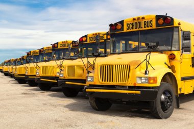 School Buses — Stock Image