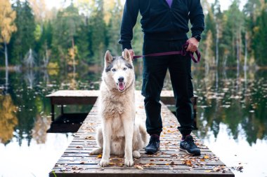 Güzel bir gölün rıhtımında iri yapılı bir köpeğin portresi. Sahibi hemen yanında duruyor. Sonbahar havası