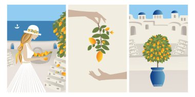 Vector Set Yaz Tatili teması ve ilham kaynağı. Güzel kız ağaçtan limon toplayıp sepete koyuyor. Soyut bir yer, Santorini, İspanya, Yunanistan ve İtalya 'daki köy. Seyahat Vektörü illüstrasyonları ve tasarımı