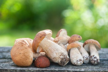 Doğal yeşil arka planda, masanın üzerinde porselen mantarlar var.