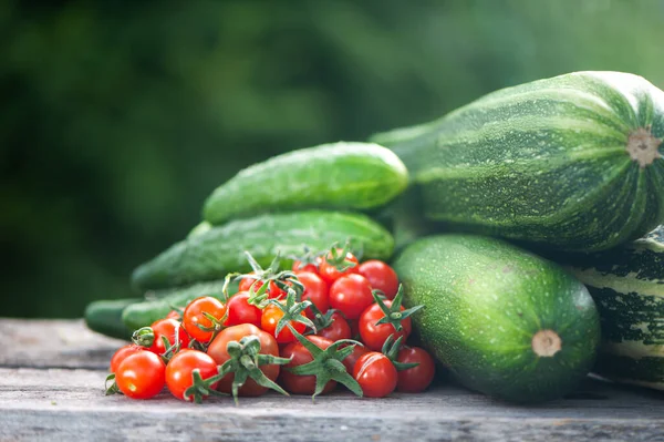 Cosecha Calabacín Pepinos Tomates Bodegón Sobre Fondo Jardín Natural Espacio — Foto de Stock