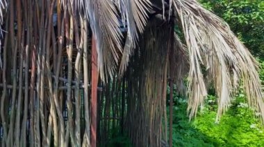 Kuru palmiye yapraklarından yapılmış kulübe ve yakın çalılar.