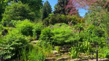 Güzel yeşil bir bahçe manzarası, yavaş çekim. Doğal güzel arka plan, sıçrama