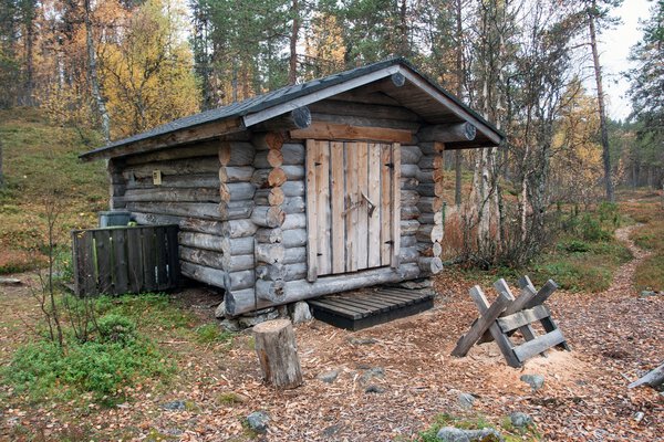 Log Cabin in Deep Taiga Forest