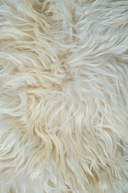 Beyaz kürk doku