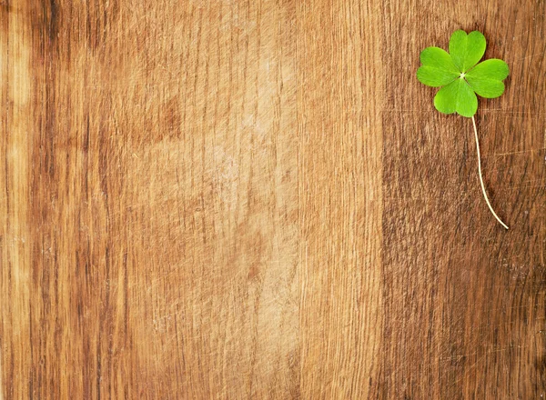 Trébol en escritorio de madera — Foto de Stock