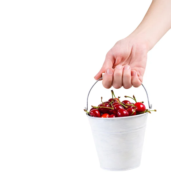 Mano con cerezas maduras en un cubo —  Fotos de Stock