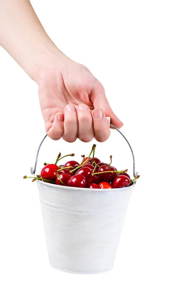 Cerezas maduras en un cubo —  Fotos de Stock