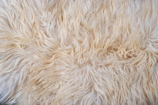 Текстура белого меха — стоковое фото