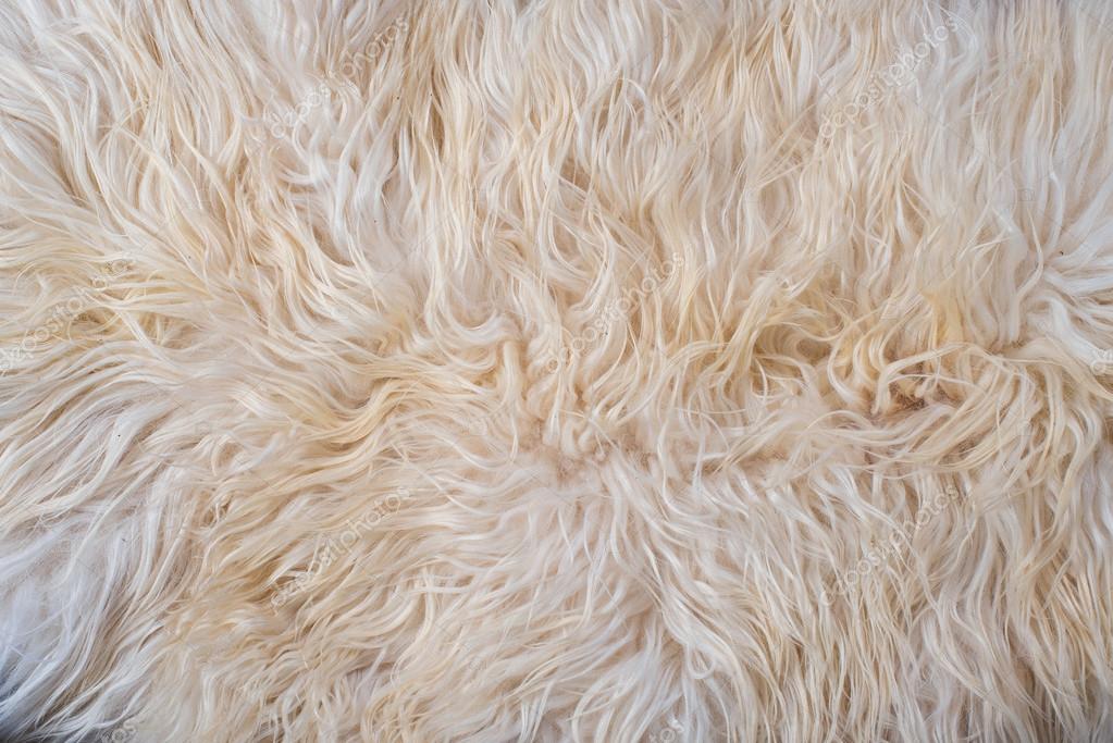 White fur texture Stock Photo by ©pproman 100906520