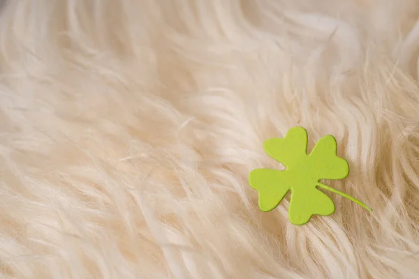 Symbole de trèfle vert sur les vêtements de mouton — Photo