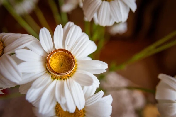 Piękne złote pierścienie z kwiatem — Zdjęcie stockowe