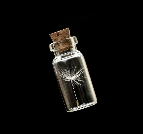 Dandelion seeds in small glass bottles — Stock Photo, Image