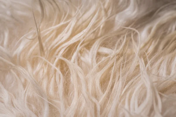 White fur texture — Stock Photo, Image