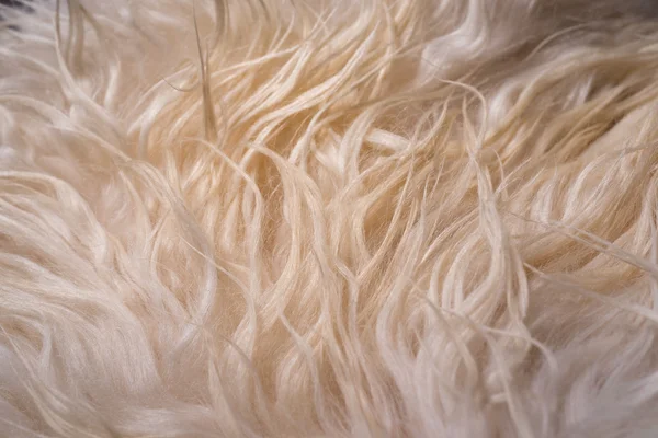 Άσπρο fur υφή — Φωτογραφία Αρχείου