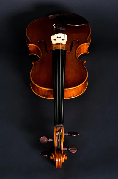 Violino su sfondo nero — Foto Stock